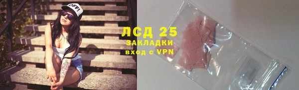 ГАЛЛЮЦИНОГЕННЫЕ ГРИБЫ Медногорск